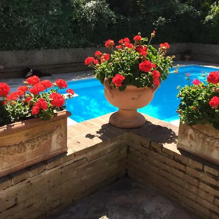 Estate - Pesaro *